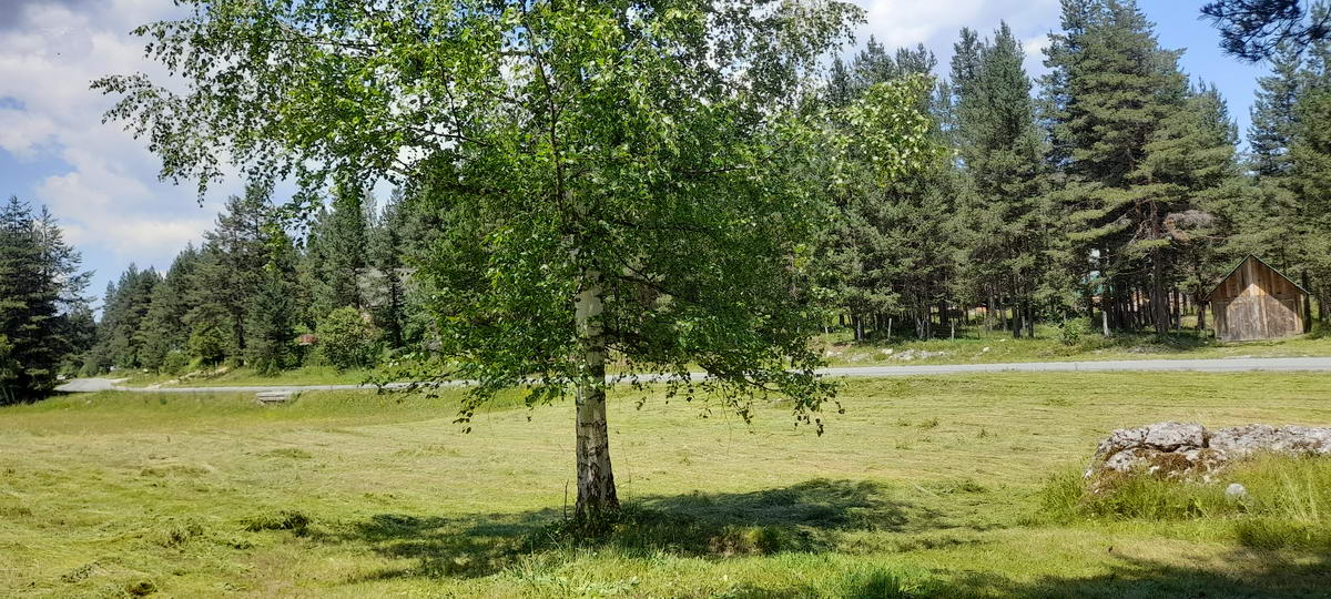 amforaproperty.com/Plac površine 10,354m2 pored same magistrale Zabljak-Pljevlja (7km od centra Zabljaka)